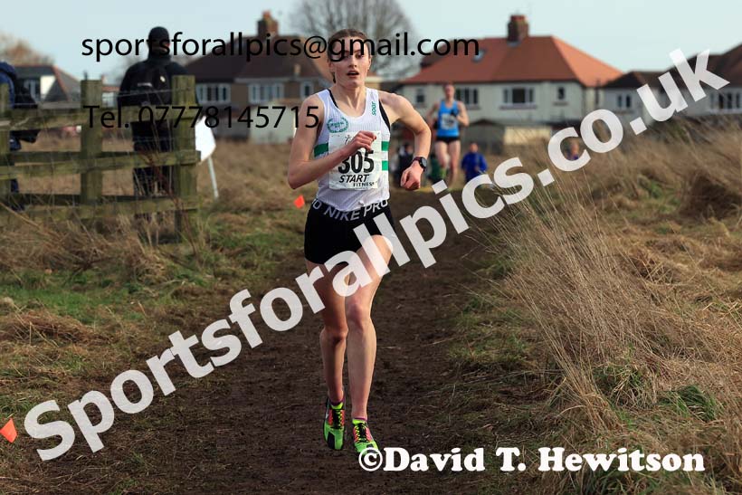 Senior Womens 2024 Northern Cross Country Champs., Sedgefield. Photo: David T. Hewitson/Sports for All Pics